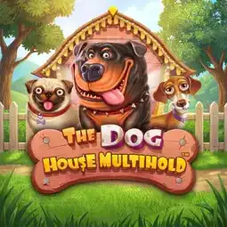 The Dog House Multihold game at Golden Panda Casino for United Kingdom players The Dog House Multihold game at Golden Panda Casino for United Kingdom players